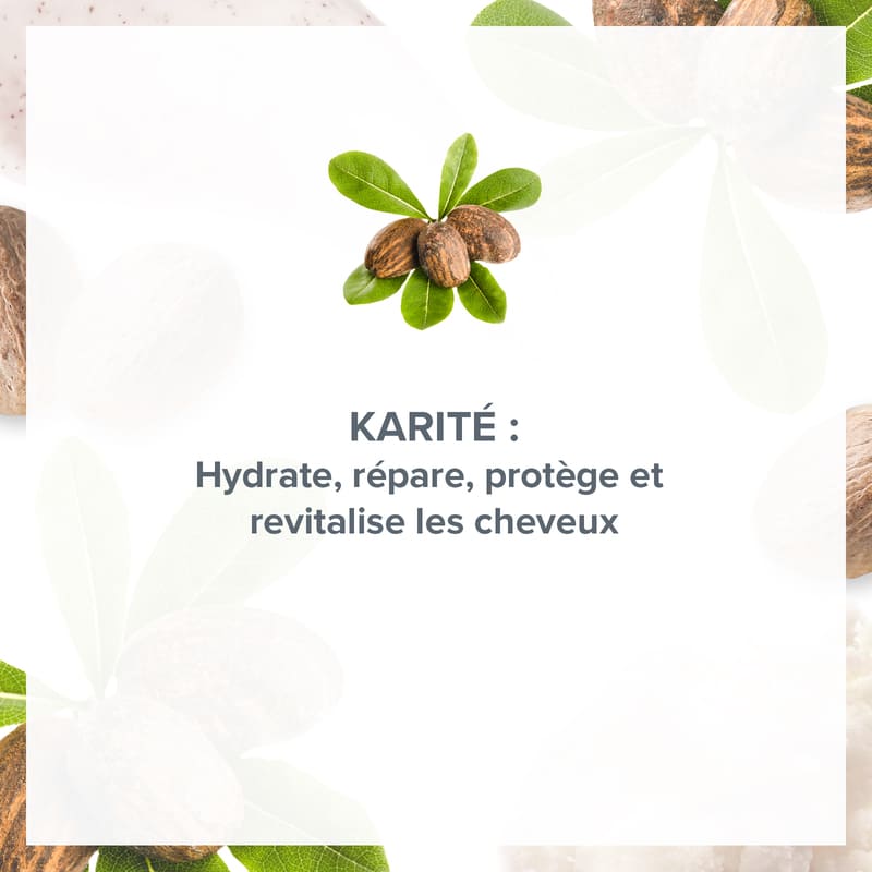 Lot de 3 Shampoing Réparateur Délice de Karité 1000 ml