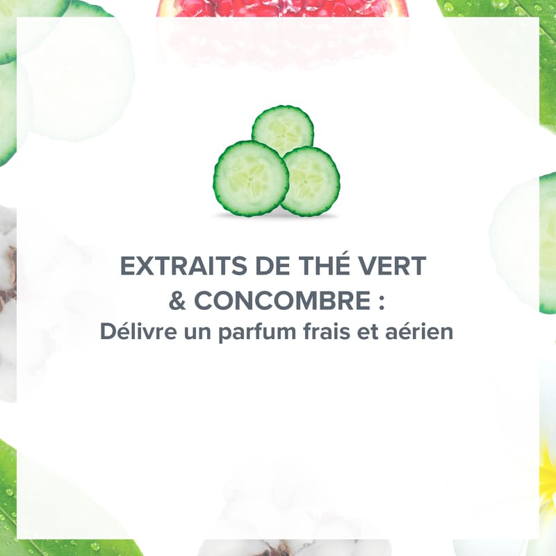 Lot de 4 Déodorants Fraîcheur Souffle de Thé Vert & Concombre