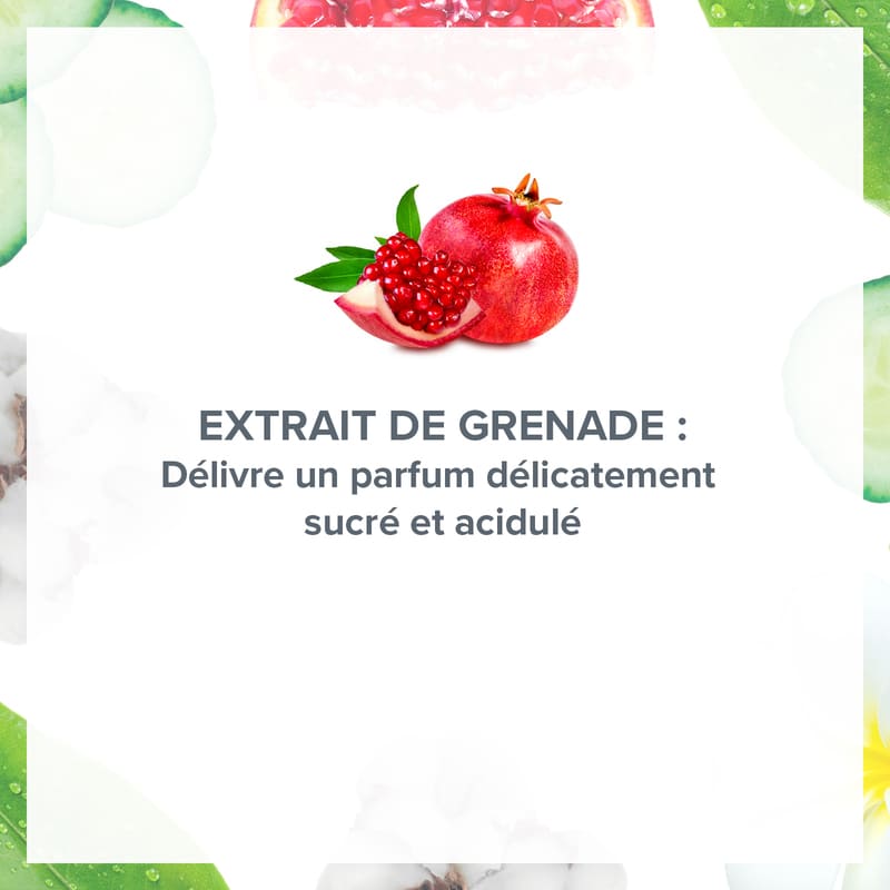 Lot de 4 Déodorants 24H Énergisant Grenade Acidulée