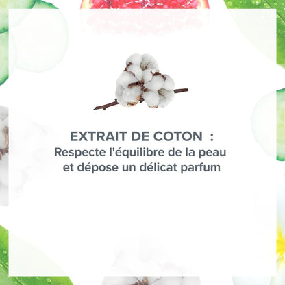 Déodorant Douceur Anti-Transpirant Nuage de Coton